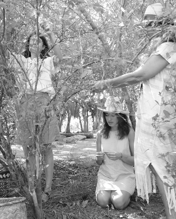 regeneracion-ser-galeria-01